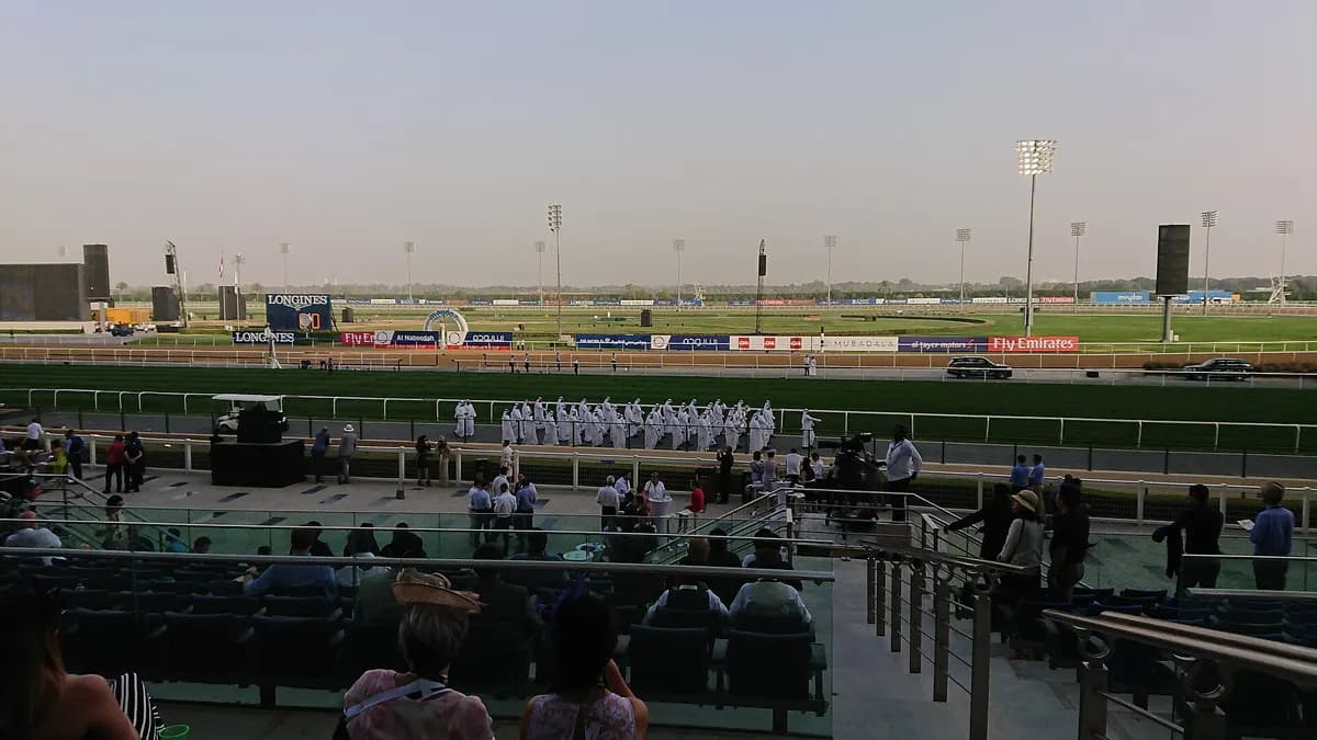 Wide daytime view over the turf and sand tracks of Meydan Racecourse from the stands, with floodlight towers and trees along the far side.
