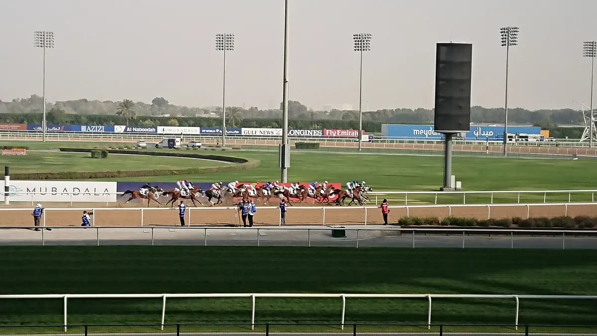 A field of horses and riders racing along the dirt track at Meydan Racecourse in daylight, with lawns and floodlights behind.